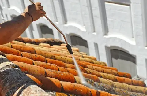 Nettoyage de toitures - Chavannes-sur-l'Étang